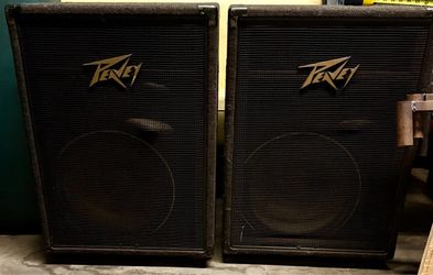 2 Peavey Speakers