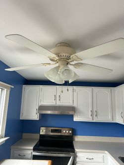 Ceiling fan with lights and remote