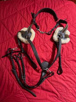 Henri De Rivel 5 Point Breastplate with Running Martingale