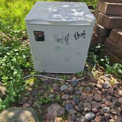 Mini Fridge