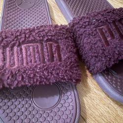 Puma Slippers