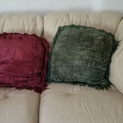 Throw Pillows for couch


