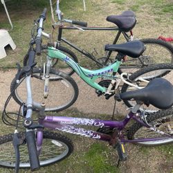 3 Bisicleta en Muy Buen Estado  $90 Por Kas 3 