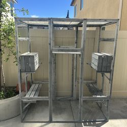 Cage For Birds 