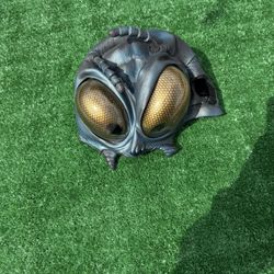 Fly/ Insect Mask 