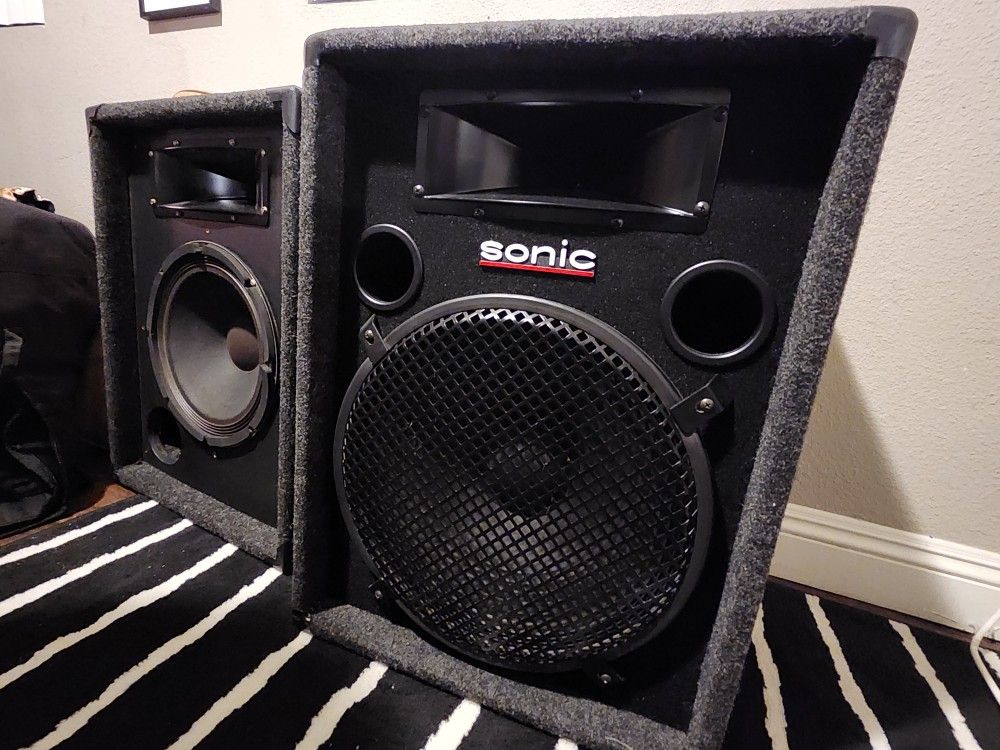 250 Watt Professional Speakers