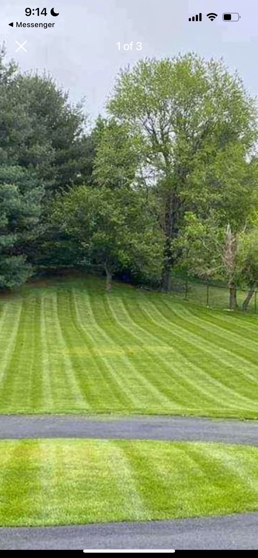 Fresh Sod
