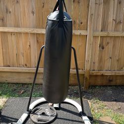 Century Heavy bag stand With Bag 175 for Sale in Houston TX OfferUp