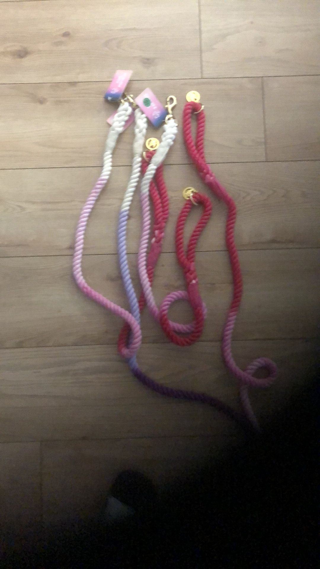 Pet Accessories