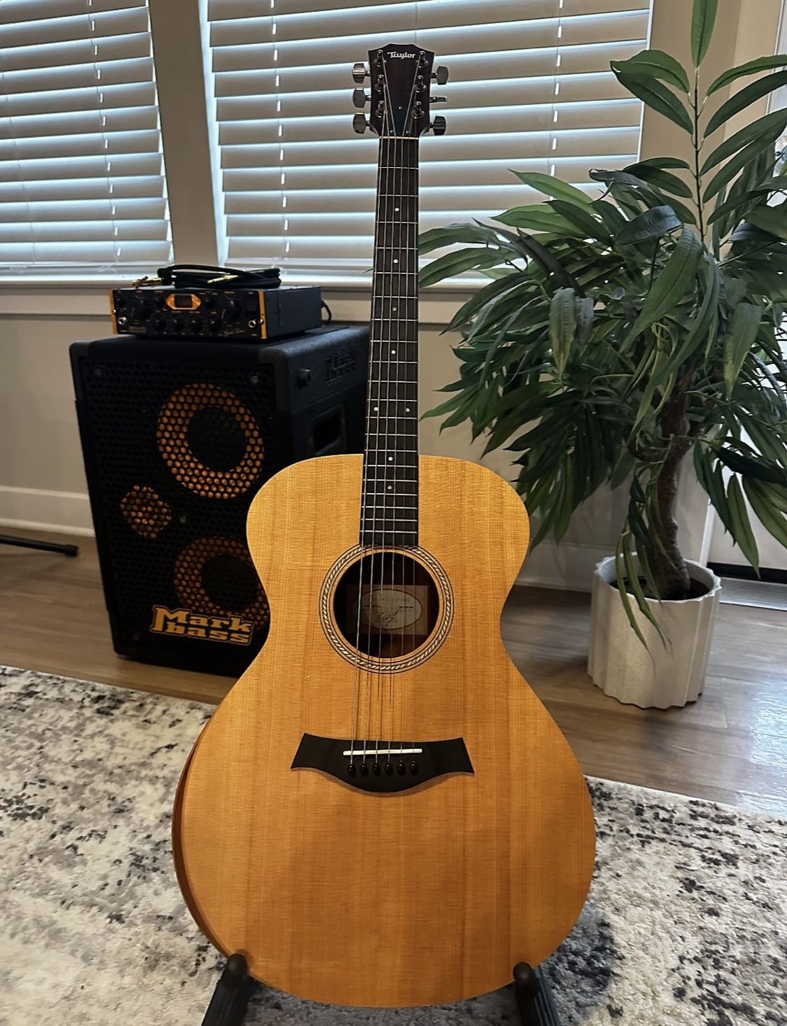 Taylor A12e Acoustic Electric Guitar