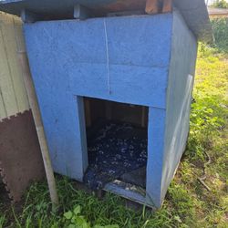 Dog House