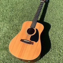 Ibanez 12 String 