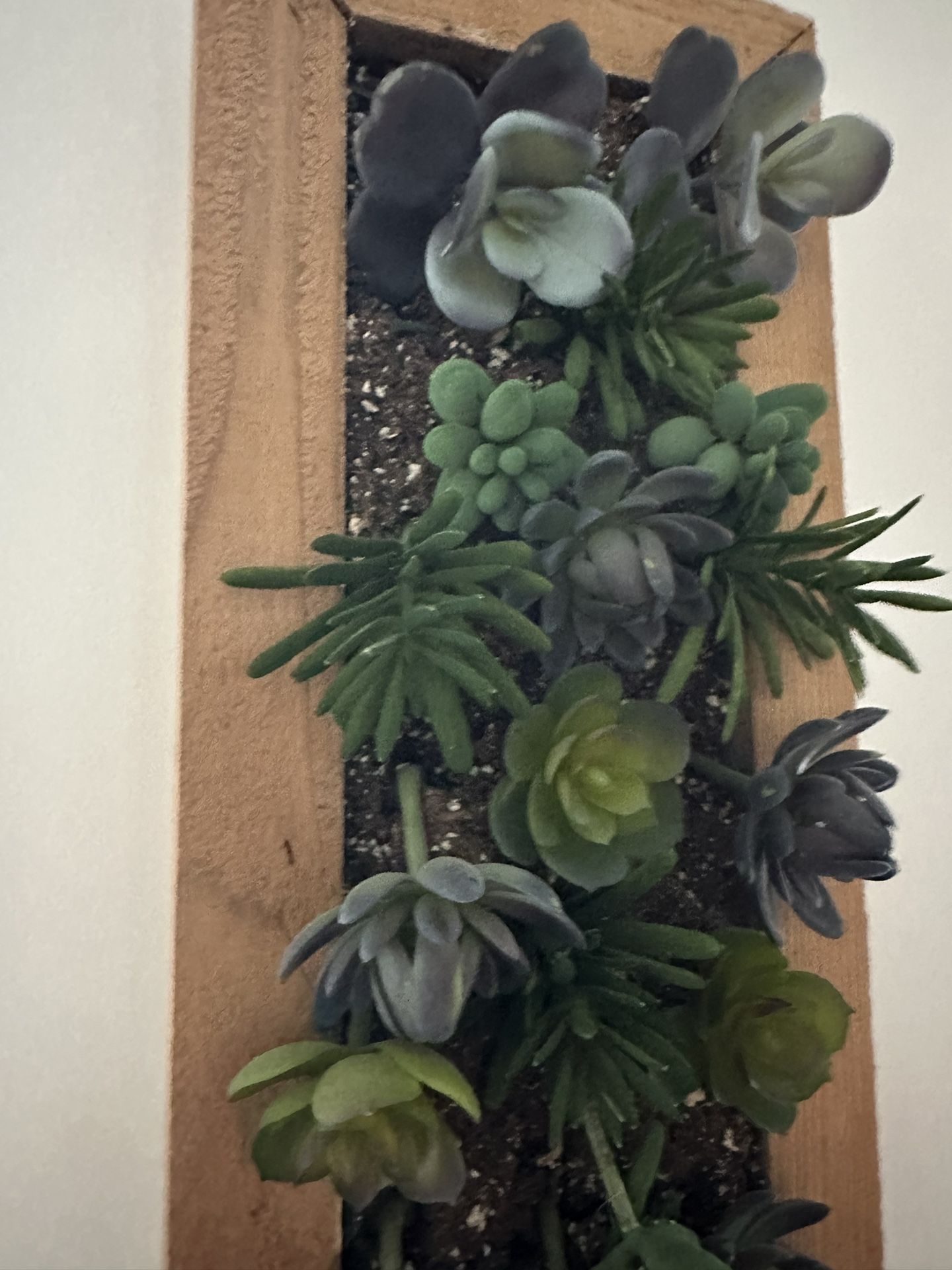 Artificial Succulent Wall Decor, Artificial Plants for Home Decor, Assorted Faux Succulents, Plants, Succulent Arrangement, Floral Decor