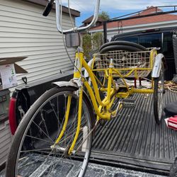 Schwinn trike for sale new arrivals