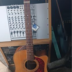 Washburn Acoustic/Electric 