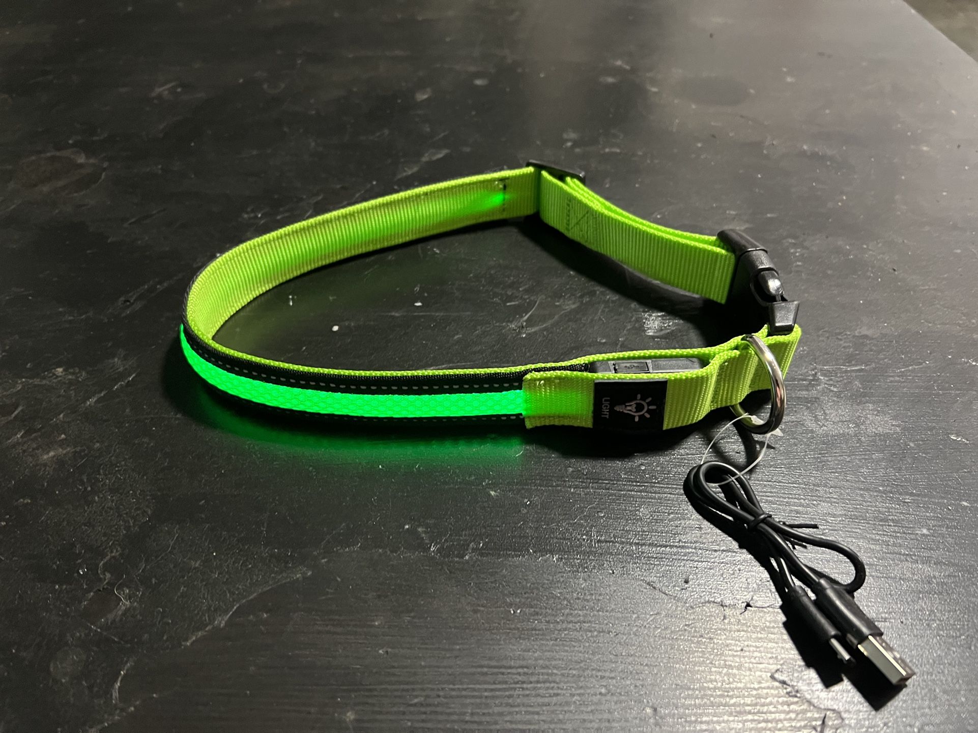 Dog Light-Up Green Color Size Large