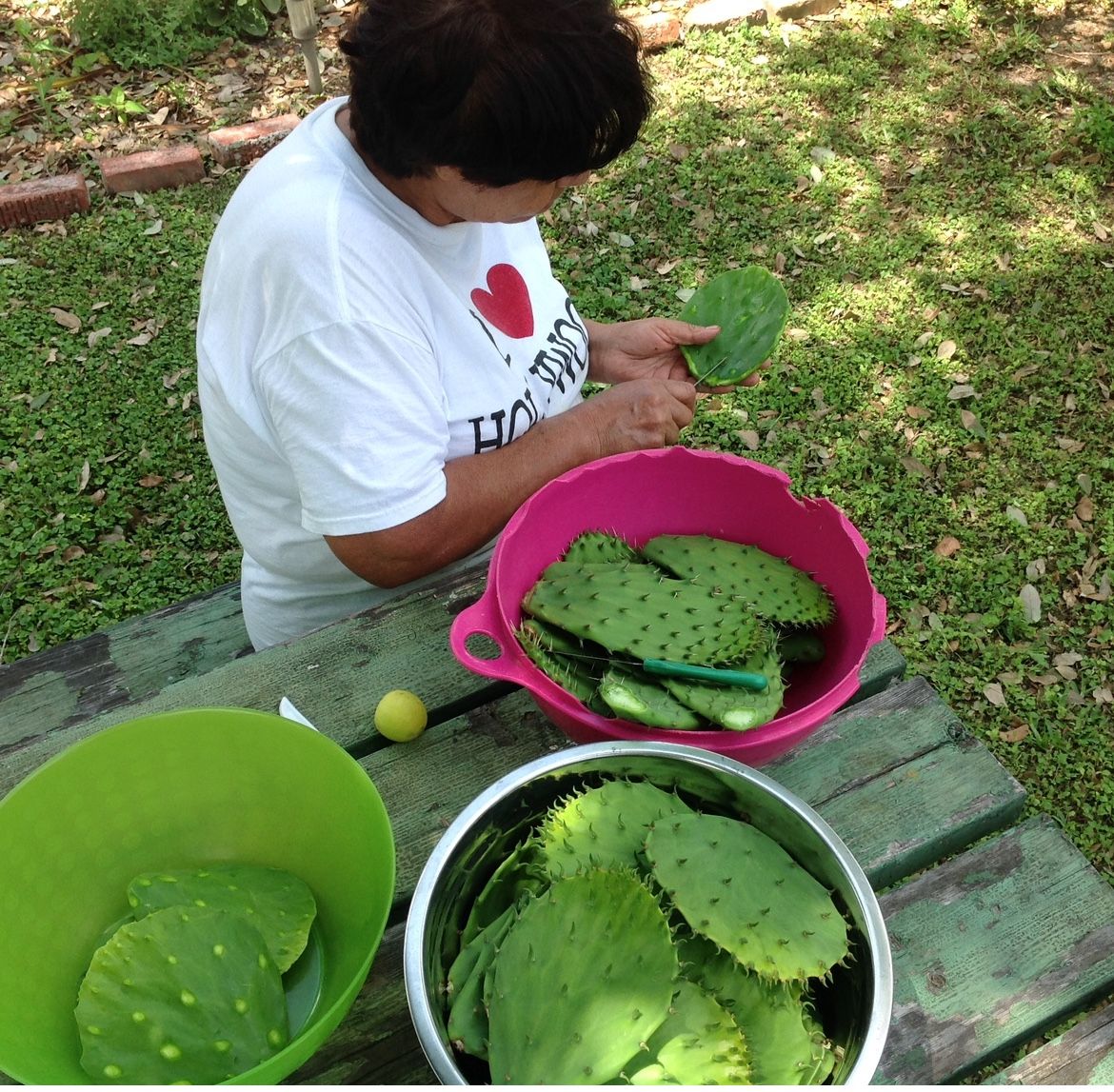 Nopalitos ya pelados.  De Origen Potosi o