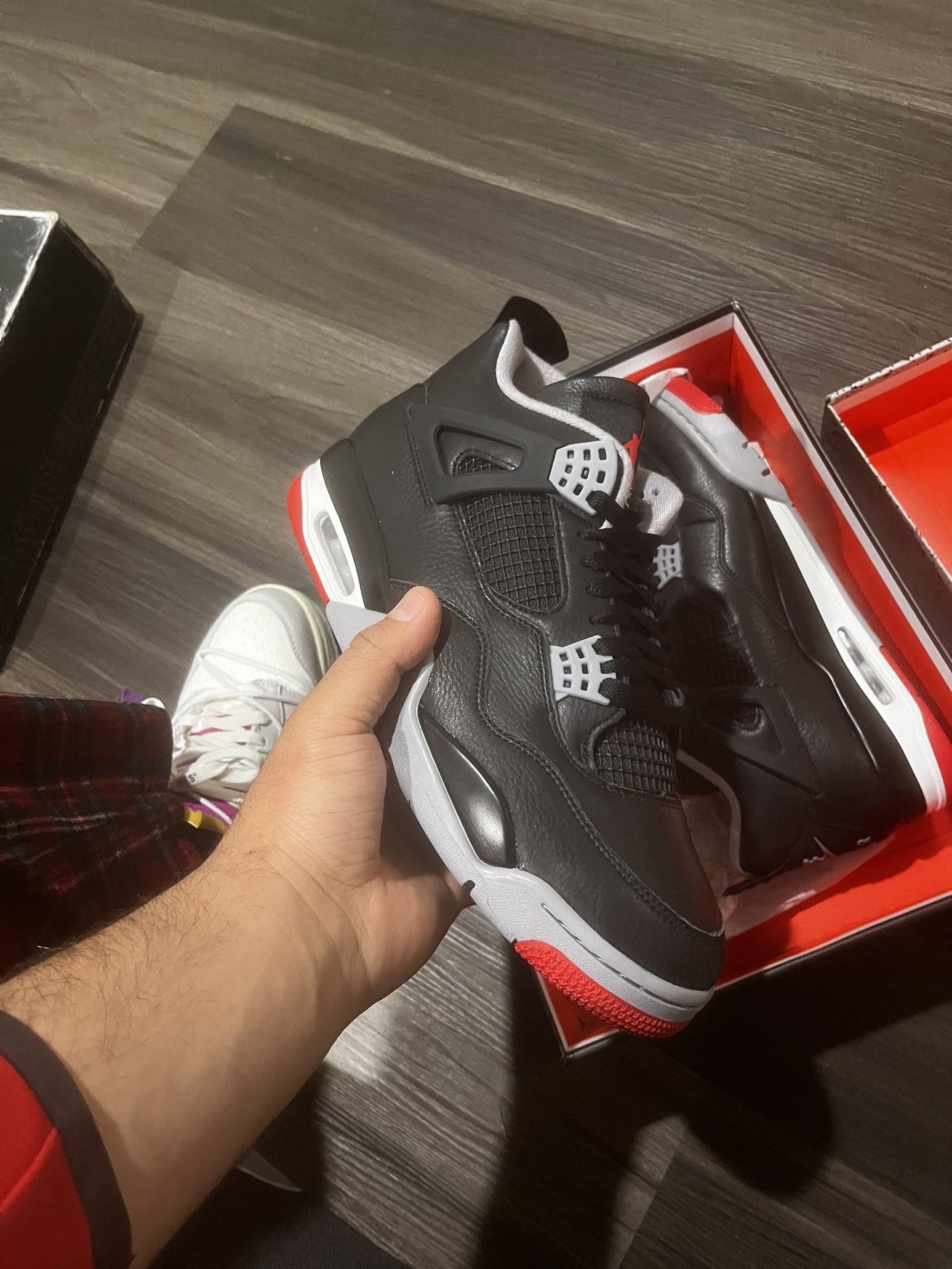 Bred 4 Reimagined Size 12 450 