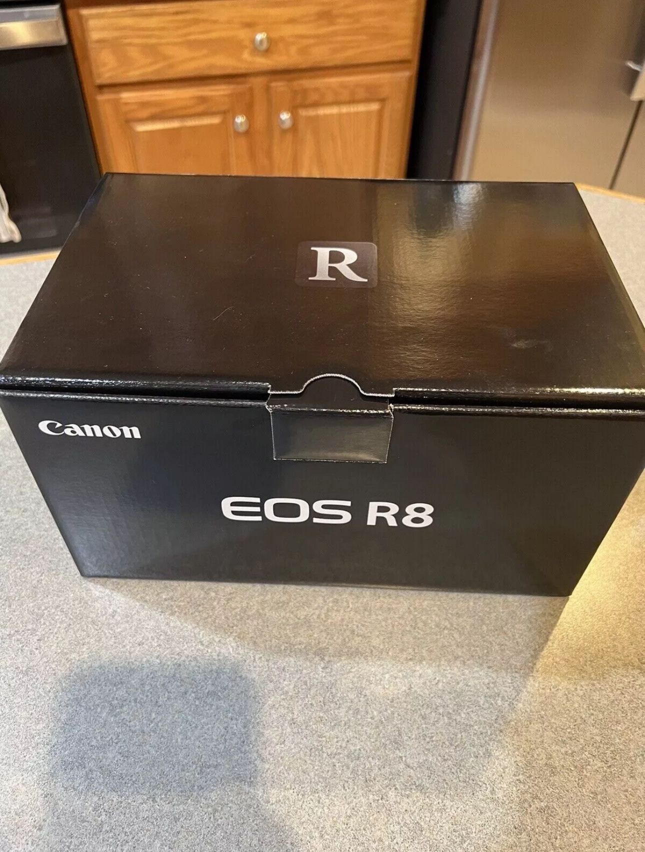 6535116 Canon EoS R8 4k video Mirrorless camera with RF 24 50mm lens