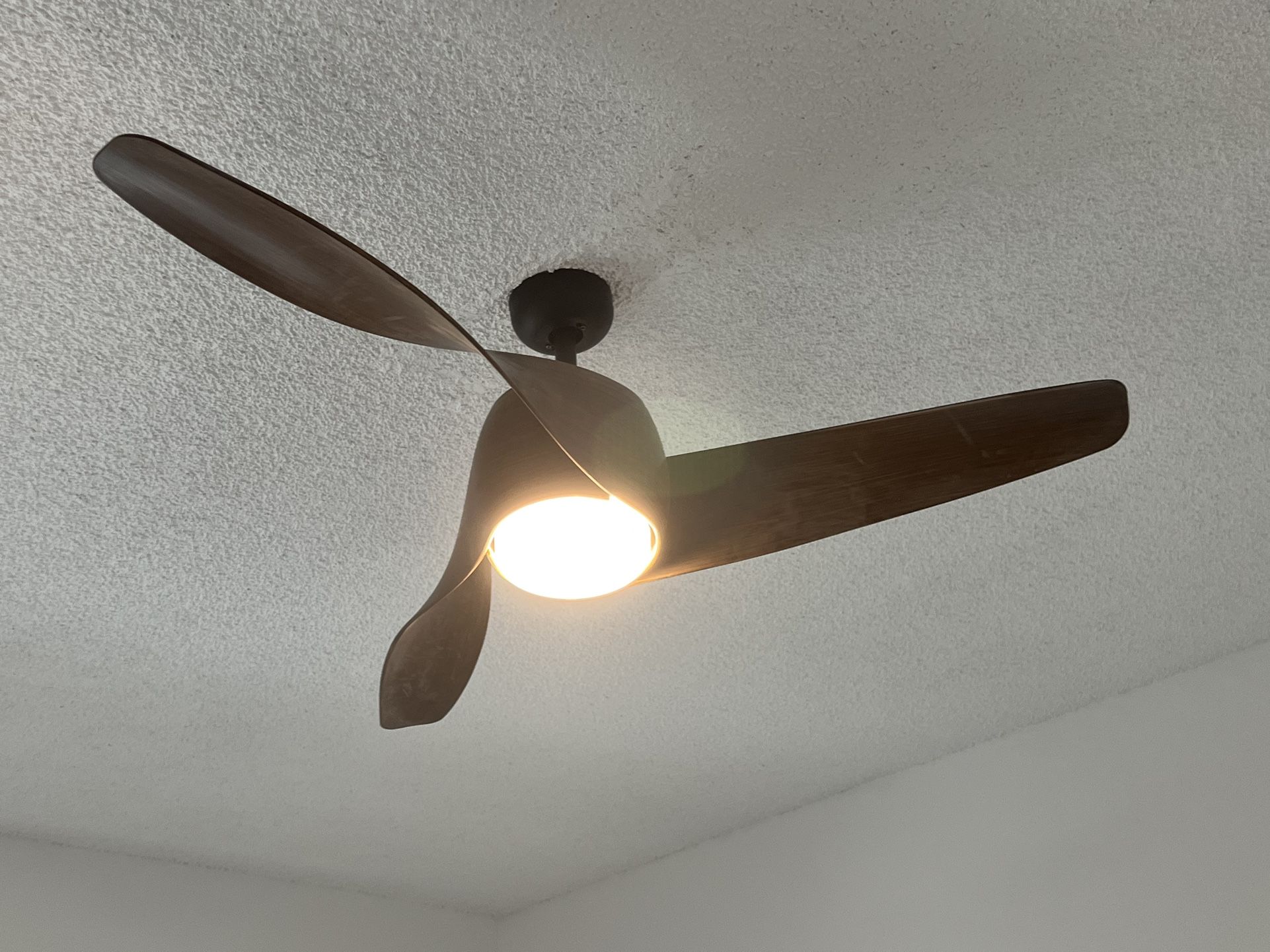 Ceiling Fan