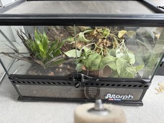 pet lizzard cage