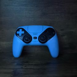 TikTok Controller Worth $100 
