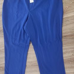 NWT Cato Blue Skinny Pants 24W Inseam 31in