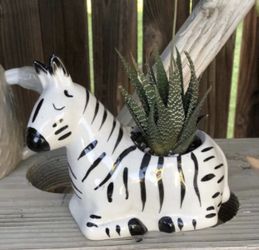 Zebra planter-ceramic