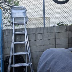 Escalera Gorila 26 Pies 