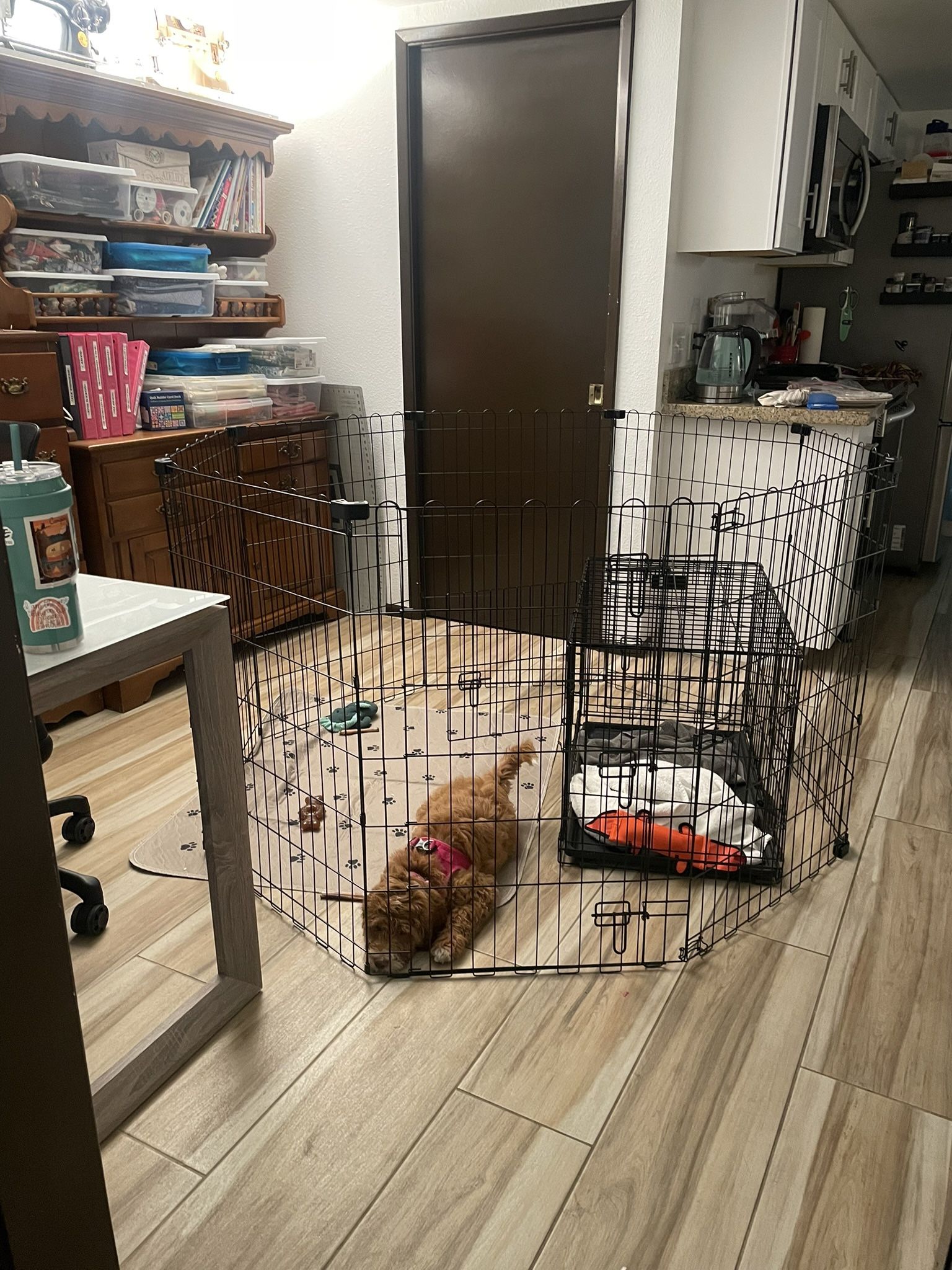 Dog Pen