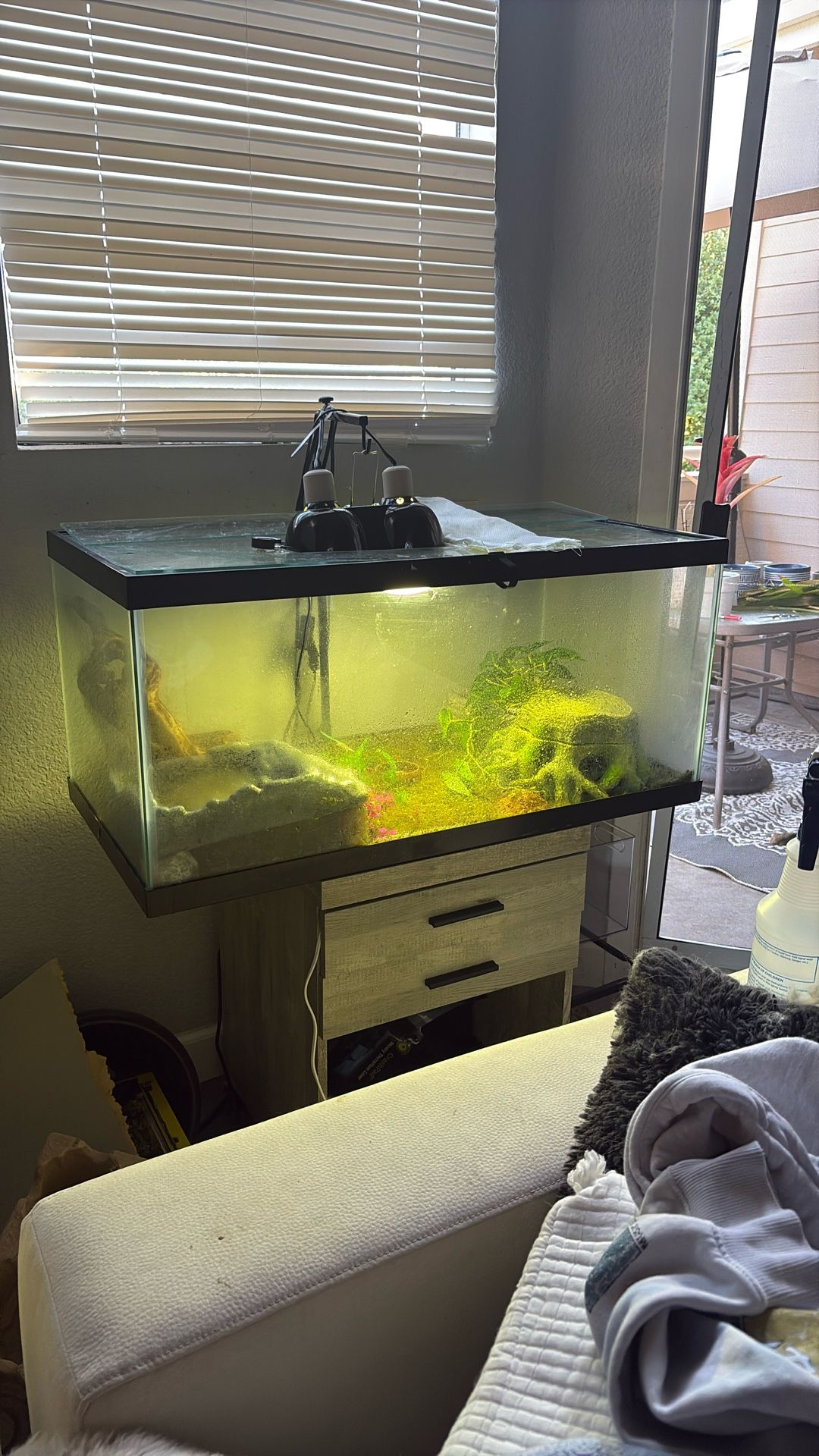 2 40 Gallon Breeder Tanks (tanks Only)