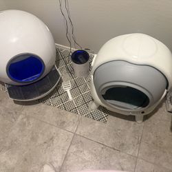 Automatic Litter Boxes 