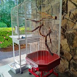 Extra Large 5'6" Beautiful Bird Cage w/ 3 Wood  Perch --Good Condition!