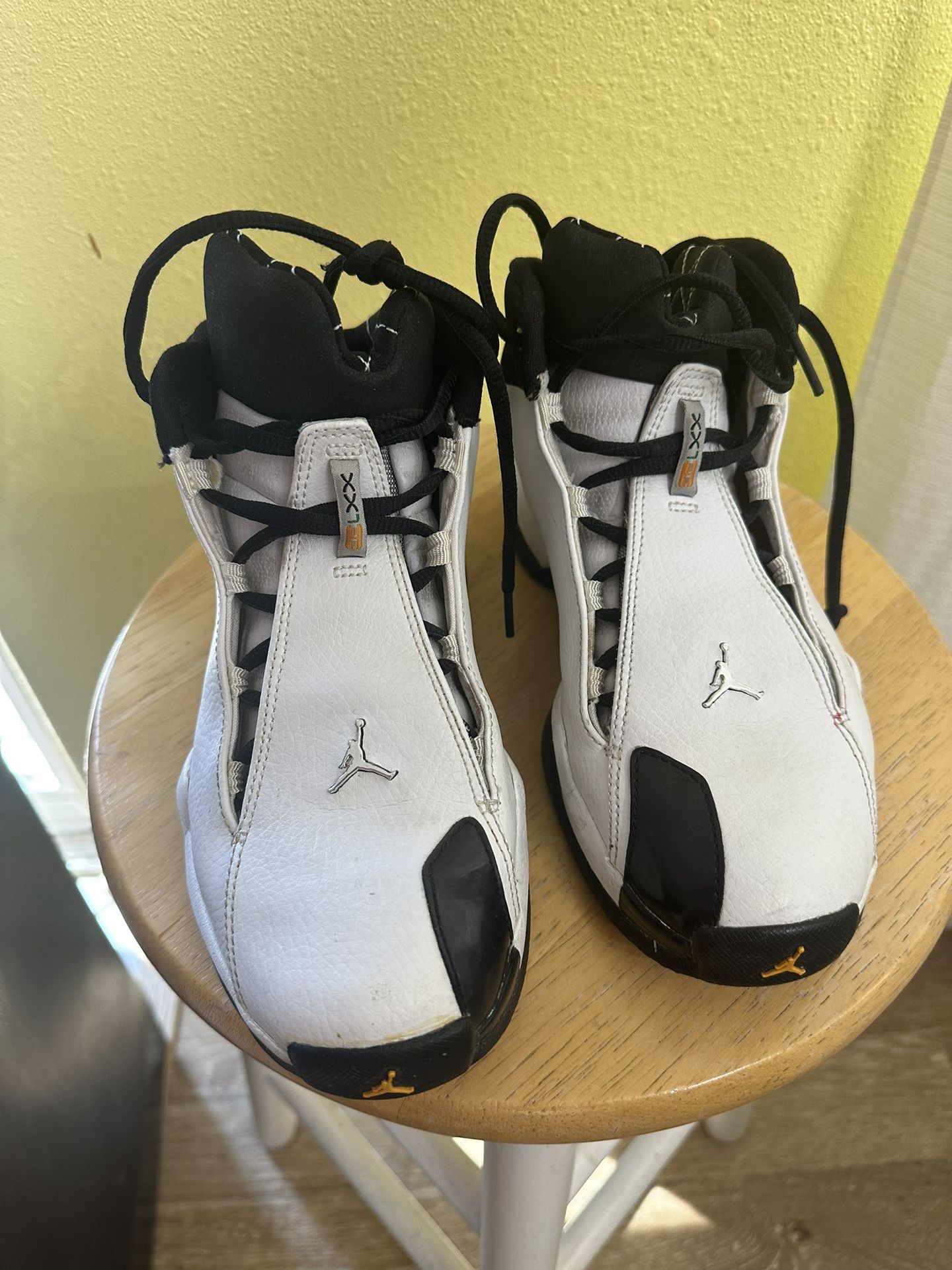 Nike Air Jordan 21 PE