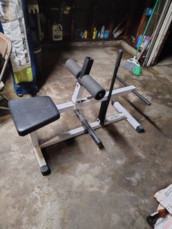 Seated calve raise