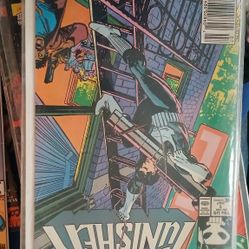 The Punisher #1 