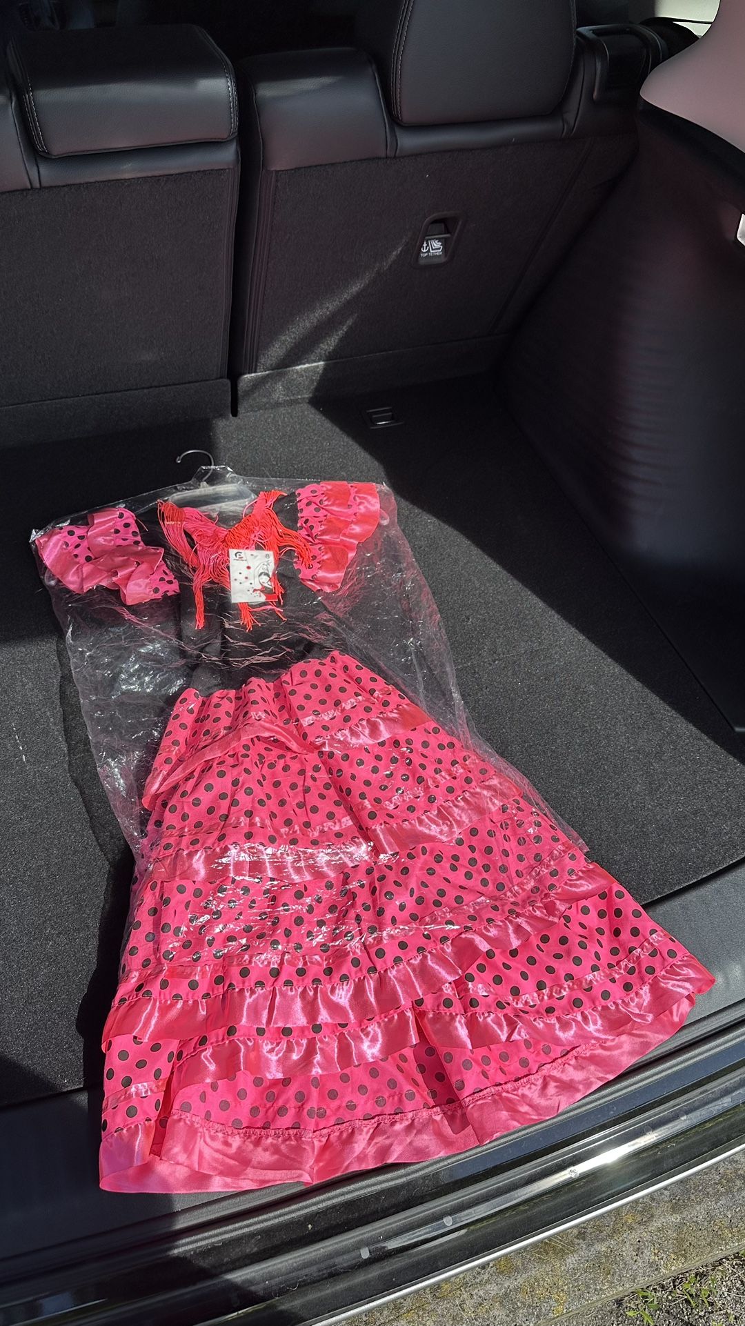 Dress - Pink/Black Size 8 - $25 OBO