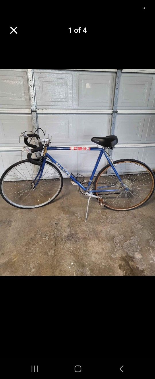 Raleigh Bike Bicycle..