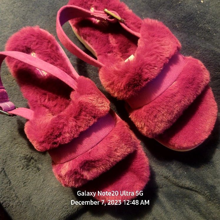Kooalabura Slippers
