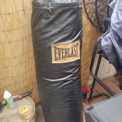 Everlast Punching Bag