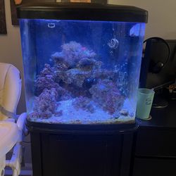 32 Gallon Coralife Saltwater Fish Tank Biocube 