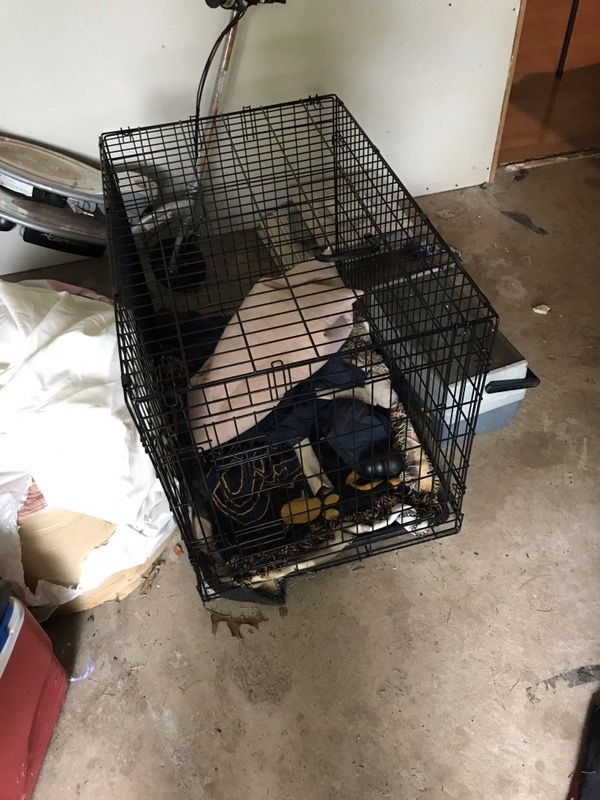 Dog crate