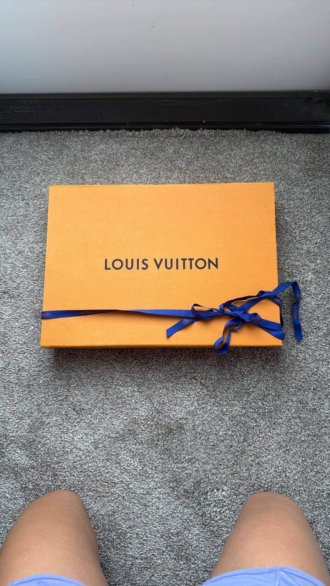 Louis Vuitton Monogram Classic Scarf