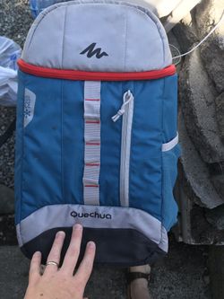 Cooler backpack