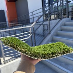 Pet Turf on sale $1.59
