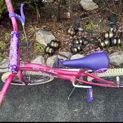 20” girls bike $39 / pickup today/ask me other items price please 