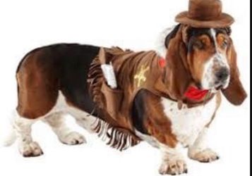 Cowboy and Crocodile Dog Costumes
