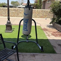 Everlast punching bag