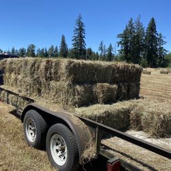 Local Grass Hay