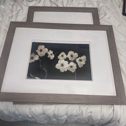 Picture Frames